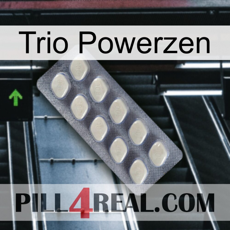 Trio Powerzen 08